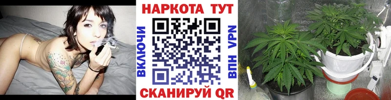 Названия наркотиков Малгобек АМФ  А ПВП  МЕФ  Каннабис  ГАШ 
